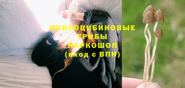 дмт Алзамай